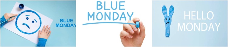 www.makemyutopia.com bluemonday